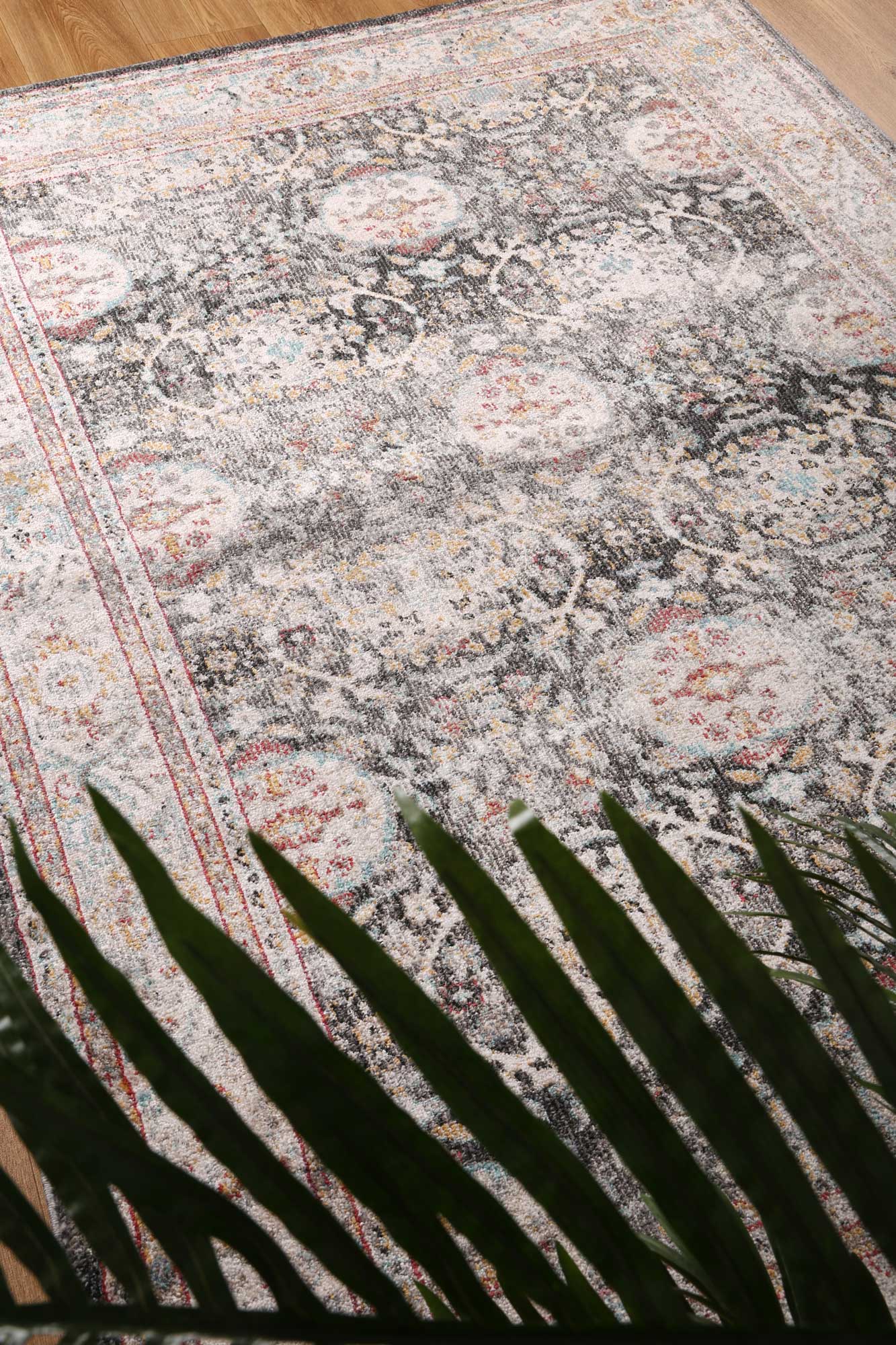 Ezra Traditional Rug - Nova Rugs