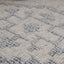 Diego Ornamental Light Grey Wool Rug